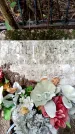 Захоронение ID 3583526