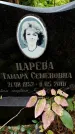 Захоронение ID 3583627