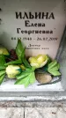 Захоронение ID 3583656