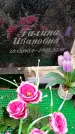 Захоронение ID 3583672