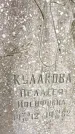 Захоронение ID 3583695