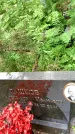 Захоронение ID 3583714
