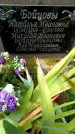 Захоронение ID 3583705