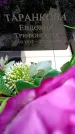 Захоронение ID 3583725