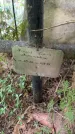 Захоронение ID 3583742