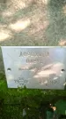 Захоронение ID 3583815