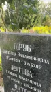 Захоронение ID 3583821