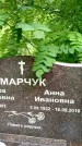 Захоронение ID 3583847