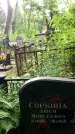 Захоронение ID 3583902