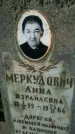 Захоронение ID 3583913