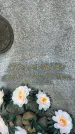 Захоронение ID 3583932