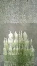 Захоронение ID 3583949