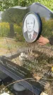 Захоронение ID 3584019