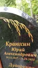 Захоронение ID 3584036