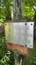 Захоронение ID 3584068