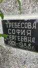 Захоронение ID 3584078