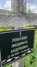Захоронение ID 3584139
