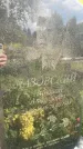 Захоронение ID 3584150