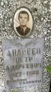 Захоронение ID 3584194