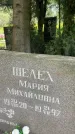Захоронение ID 3584200
