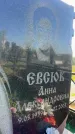 Захоронение ID 3584252