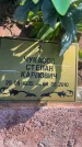 Захоронение ID 3584254