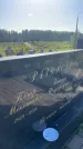 Захоронение ID 3584275