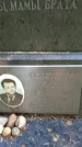 Захоронение ID 3584343