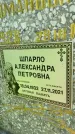 Захоронение ID 3584384