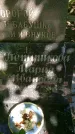 Захоронение ID 3584414