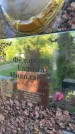 Захоронение ID 3584459