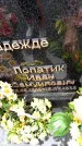 Захоронение ID 3584521