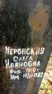 Захоронение ID 3584562
