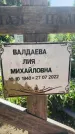 Захоронение ID 3584587