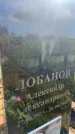 Захоронение ID 3584663
