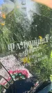 Захоронение ID 3584667