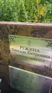 Захоронение ID 3584717