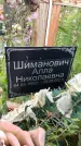 Захоронение ID 3584775