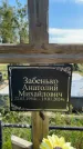 Захоронение ID 3584888
