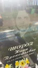 Захоронение ID 3584906
