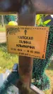 Захоронение ID 3584913
