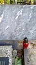 Захоронение ID 3585005