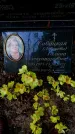 Захоронение ID 3585030