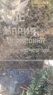 Захоронение ID 3585061