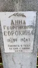Захоронение ID 3585071