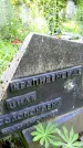 Захоронение ID 3585114