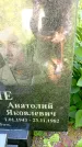 Захоронение ID 3585144