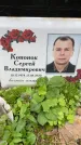Захоронение ID 3585183