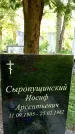 Захоронение ID 3585196