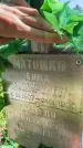 Захоронение ID 3585297